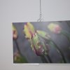 Galeria Proba